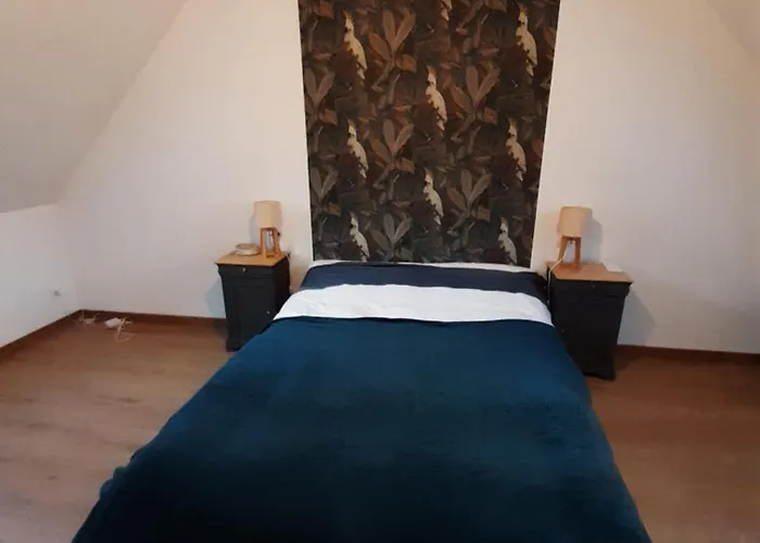 Villa Maison Renovee Avec Jardin 2 2 Sdb Proche Centre 135m Le Mans